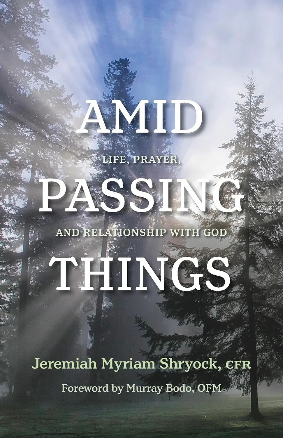 amid_passing.jpg
