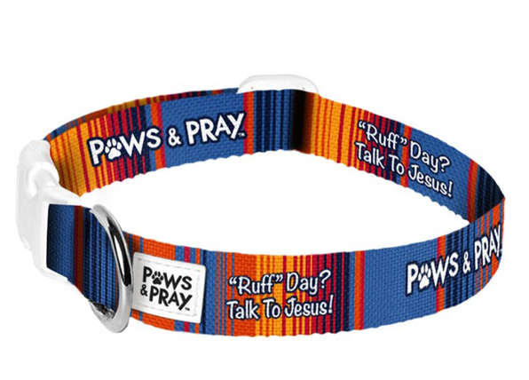 paws-1.PNG