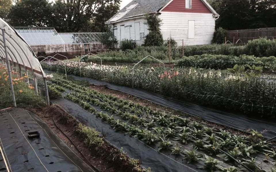 Our Farm Today