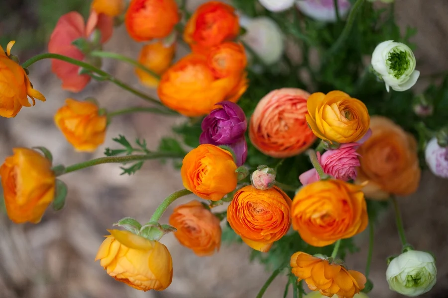 Urban Buds: May Flowers