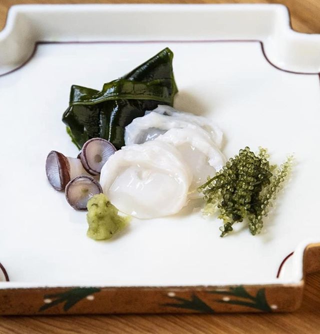Wild giant octopus from Hokkaido.⁠
#blessed to be sharing this with the world. Best served in summer.⁠
#umibudo 🍇 sea grapes⁠
photo @ariettea ⁠
.⁠
.⁠
.⁠
.⁠
.⁠
.⁠
.⁠
.⁠
⁠
⁠
#lafood #lafoodie #losangeles #foodie #la #eaterla #laeats #foodporn #yelpla 