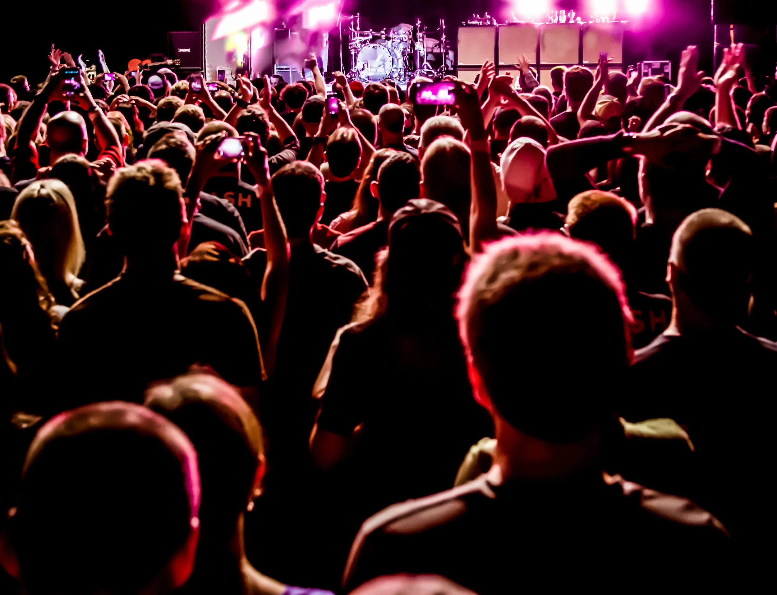 crowd at concert.jpeg