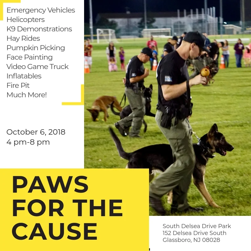 Paws for the Cause