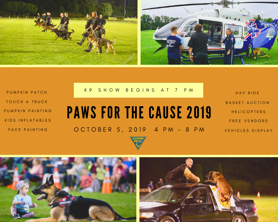 2019 Paws for the Cause