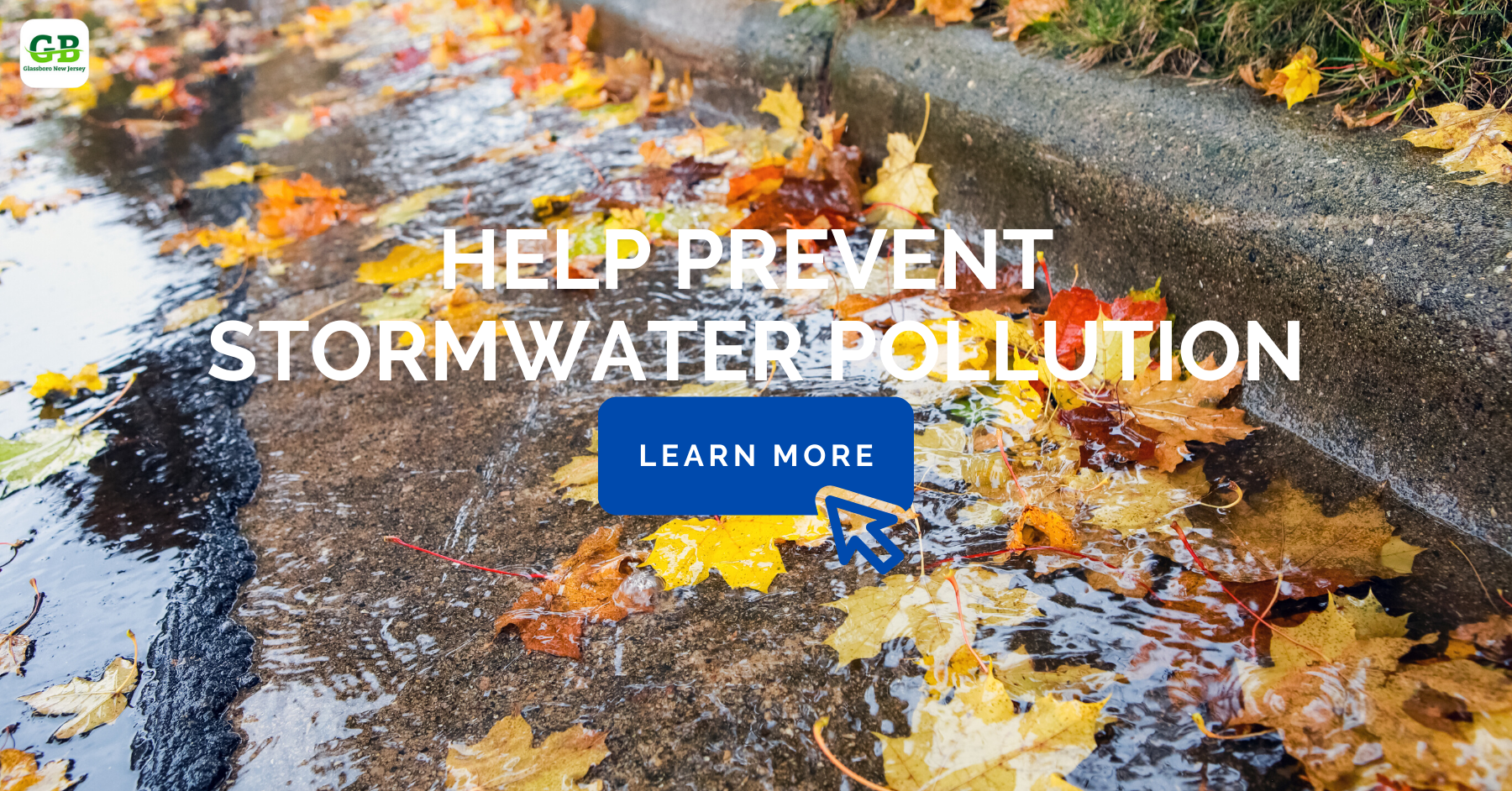 PREVENT STORMWATER POLLUTION.png