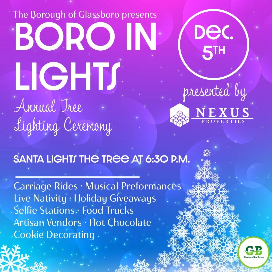 Boro in Lights_Boro in Lights OUTLINED.jpg