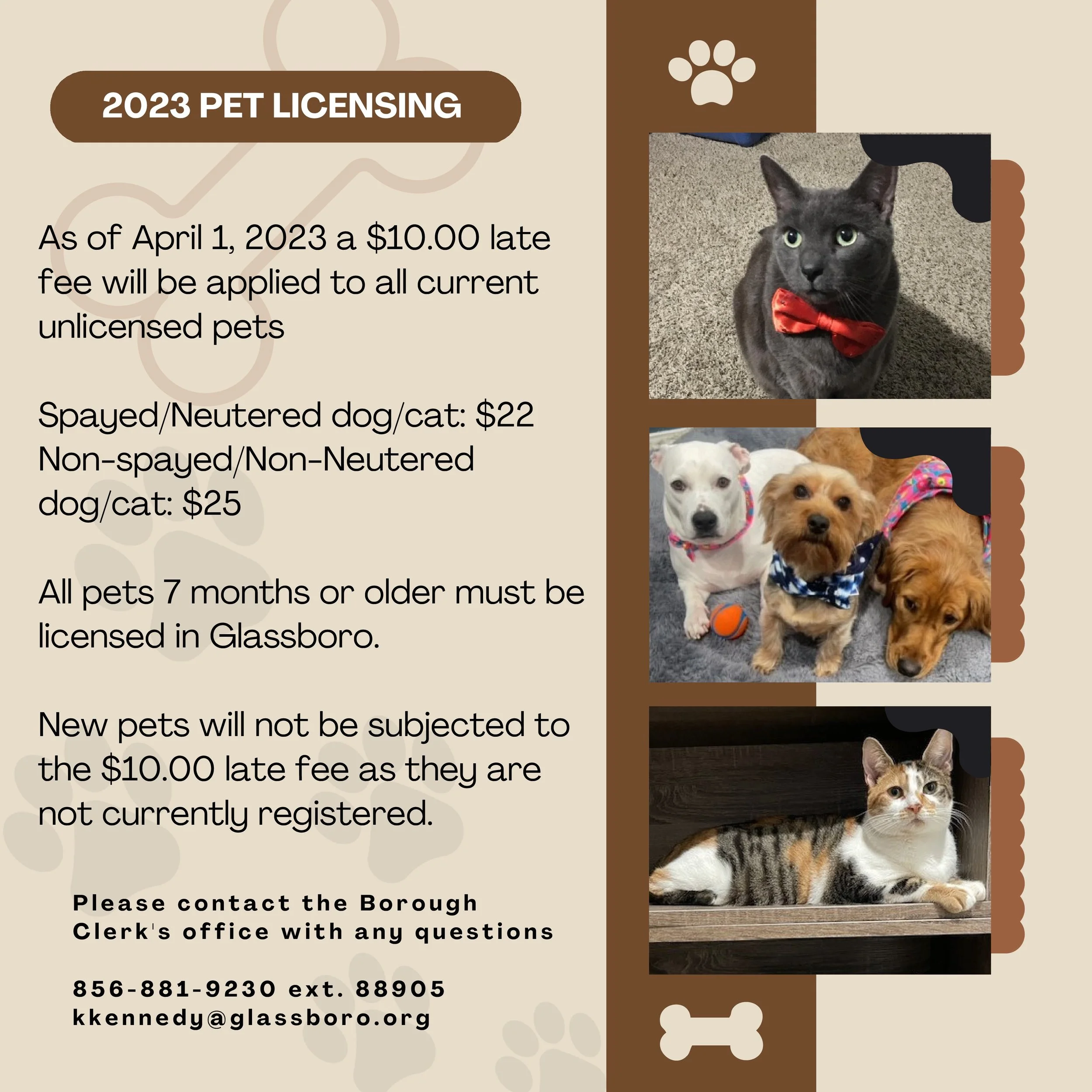 Municipal Clerk — Official site of the Borough of GlassboroOfficial