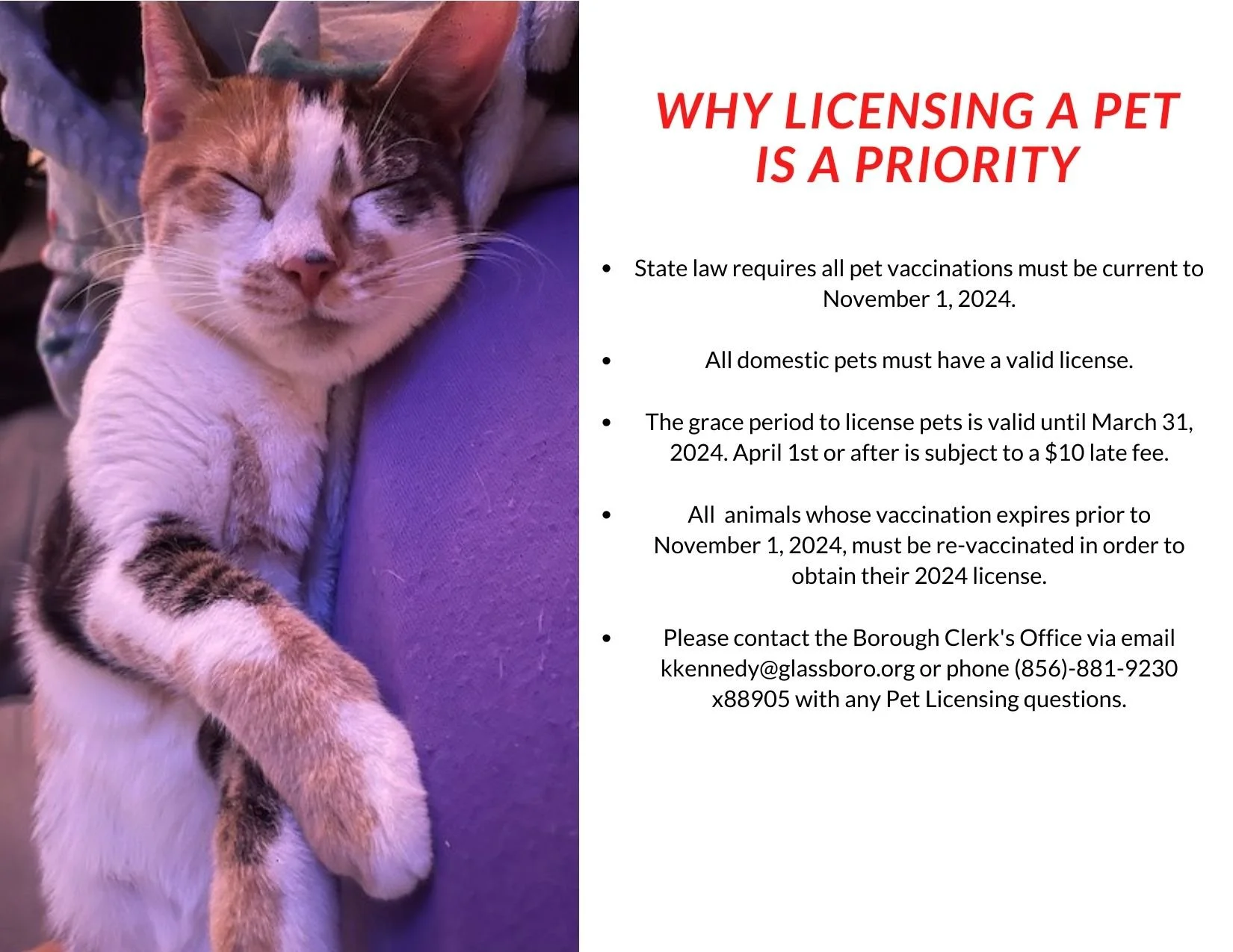 Municipal Clerk — to the Official site of the Borough of Glassboro