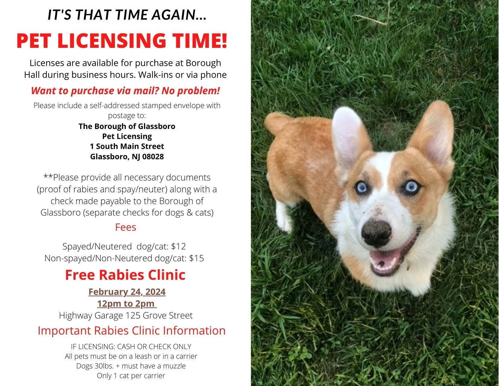 Municipal Clerk — to the Official site of the Borough of