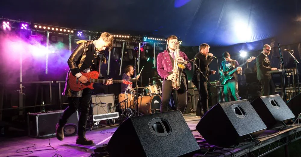 The Purple Felts - Seedlings Stage.&nbsp;Photography by Robert Adam.