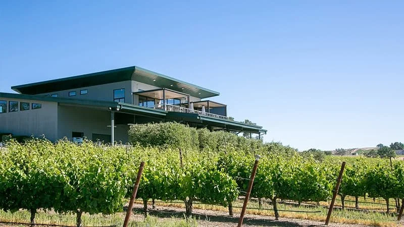 Discover Allbaer Winery: Small Production, Big Expression