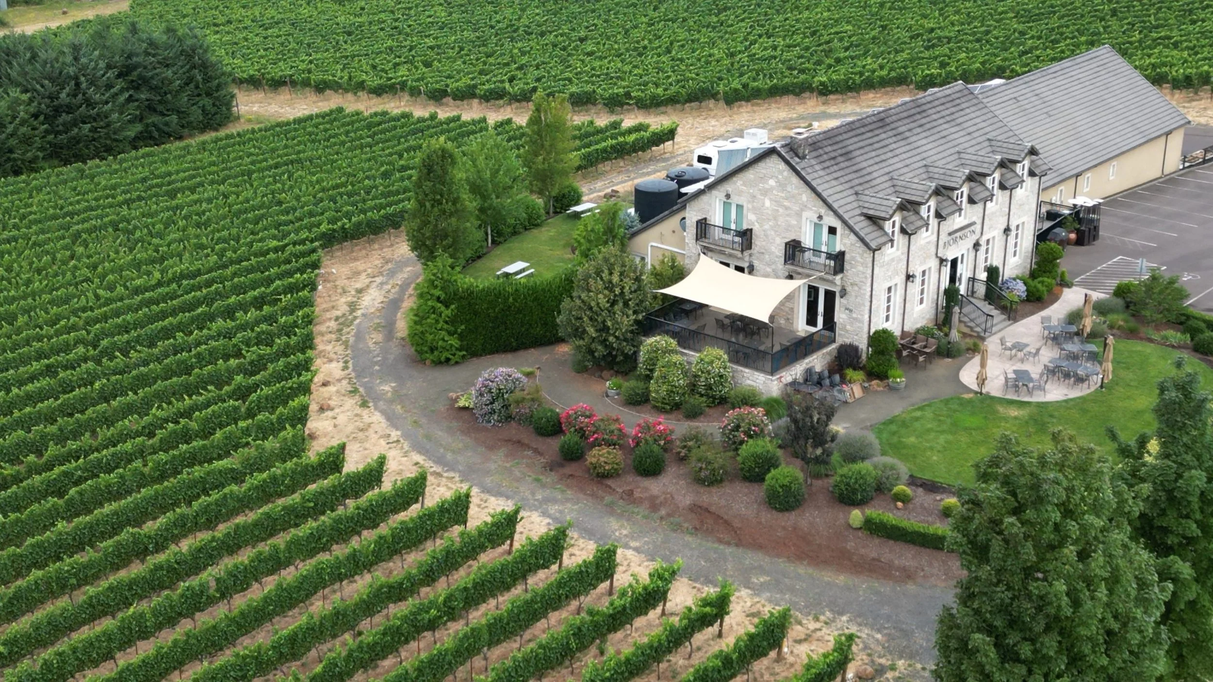 Producer Spotlight: Björnson Vineyard