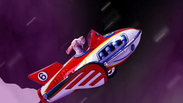 Rocket Dog 3.gif