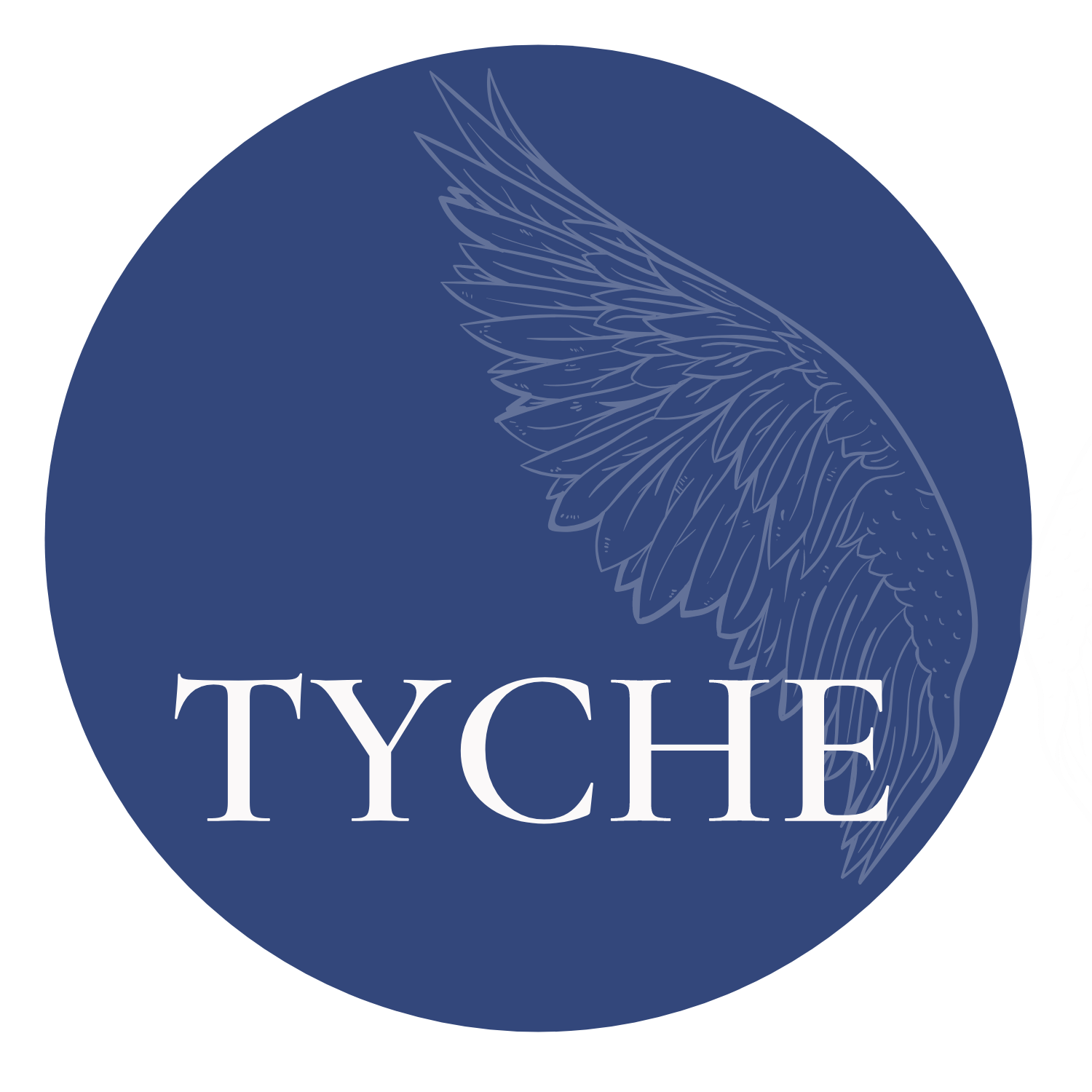 TYCHE CONSULTING SERVICES