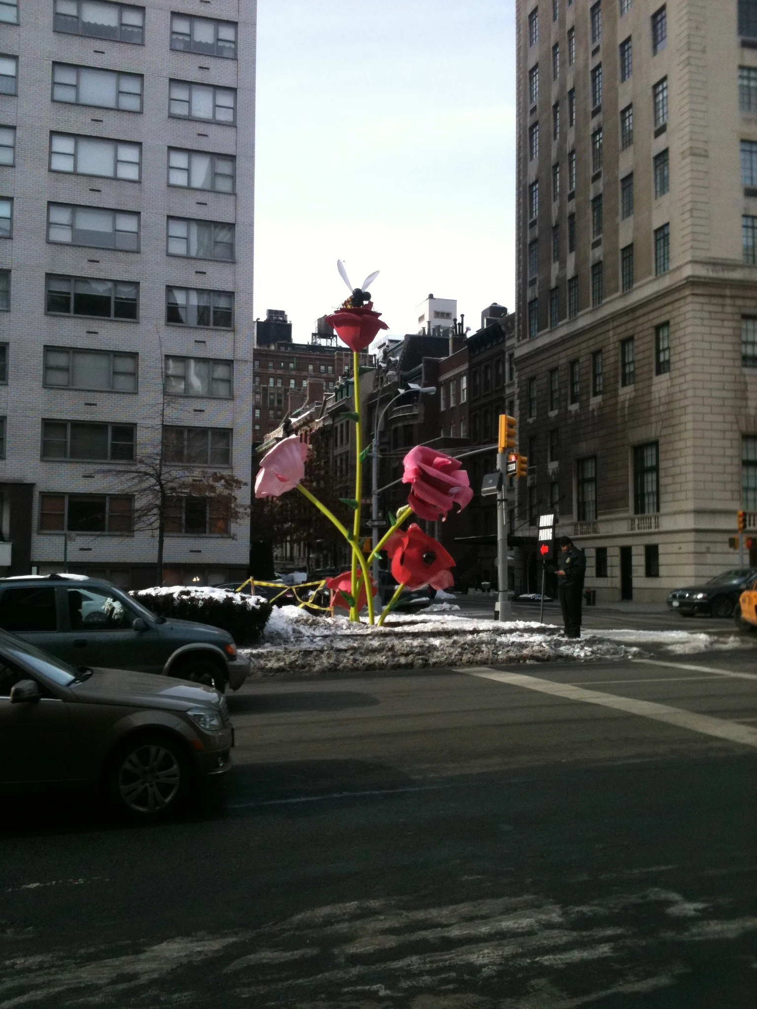 IMG_1859.jpg