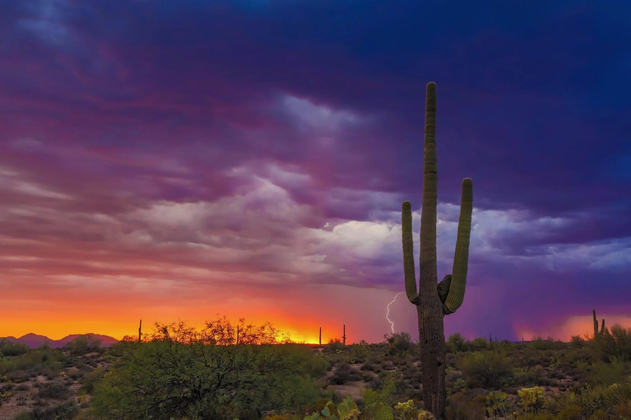 MONTHLY REAL ESTATE INVESTING &amp; FIX AND FLIP NETWORKING (Copy)