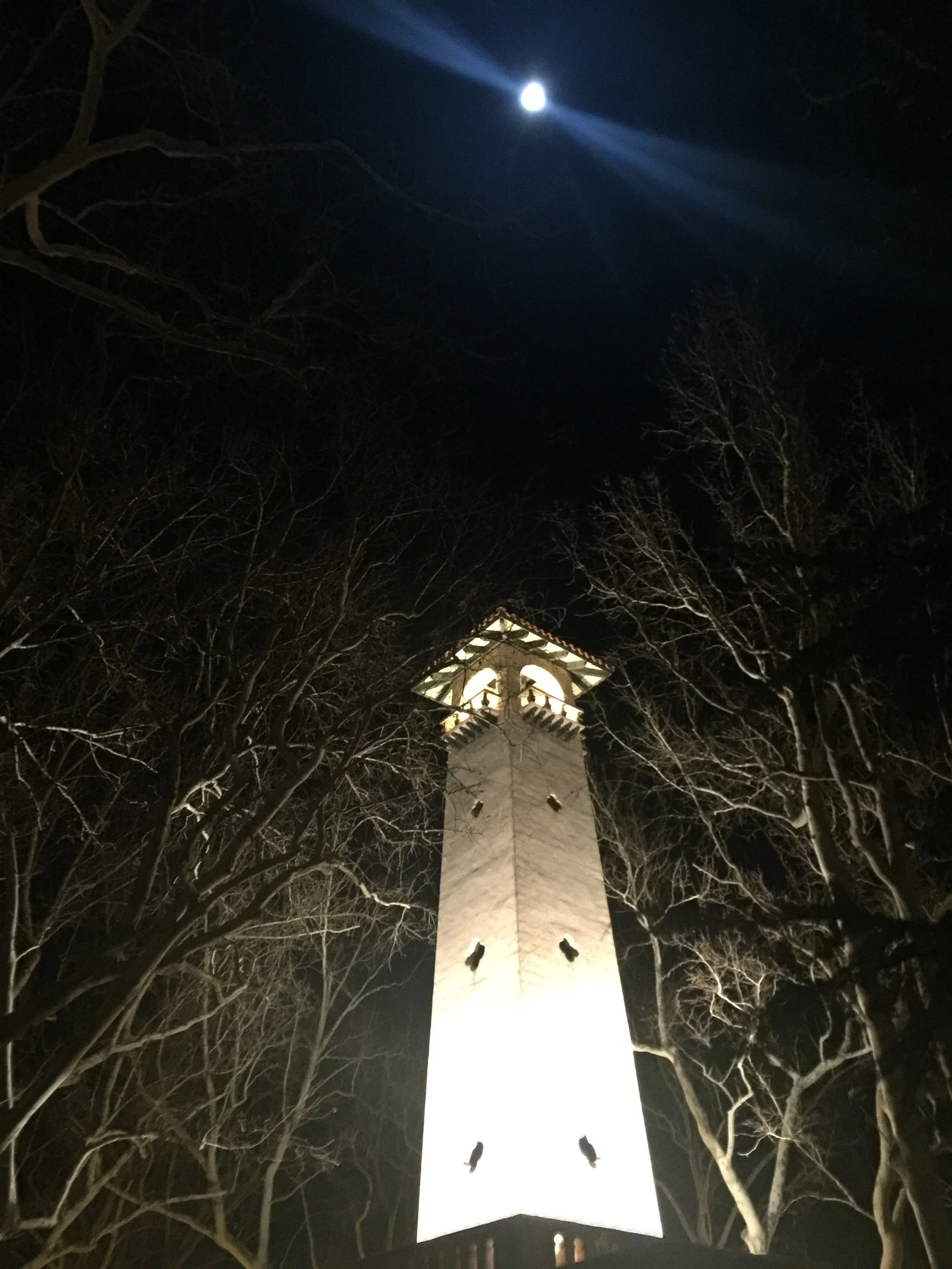 Looking at a full moon