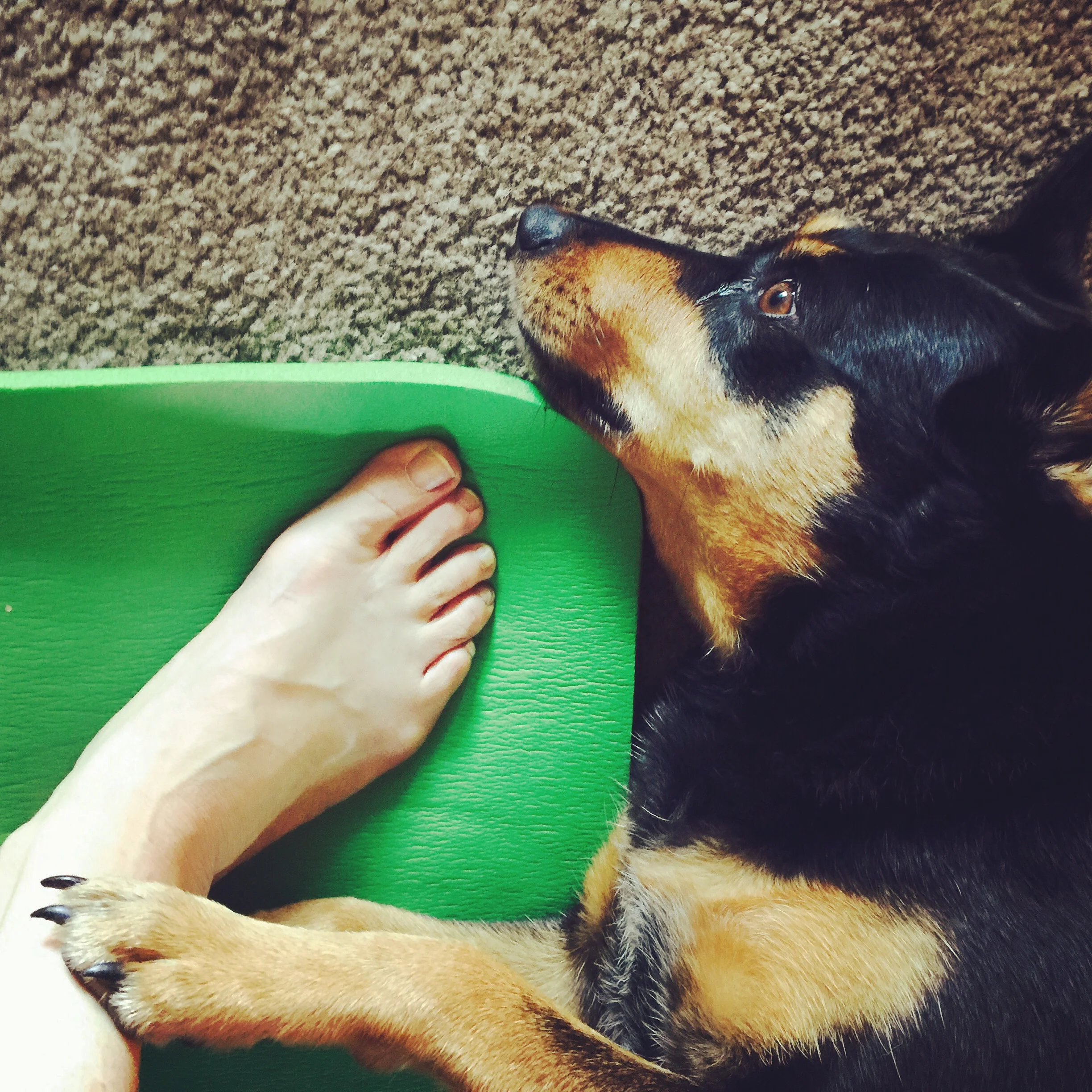 morning yoga with Po