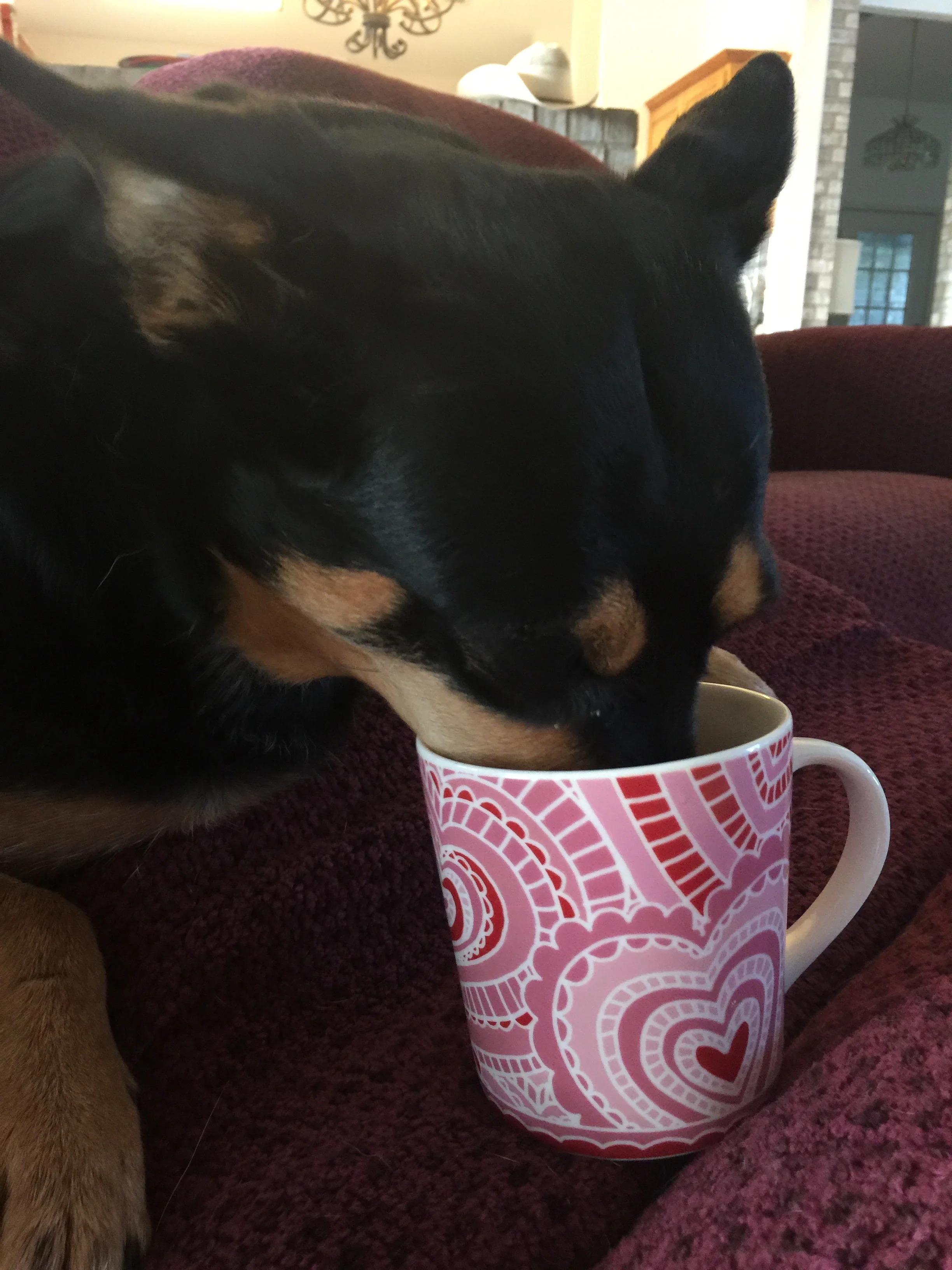 sharing morning coffee