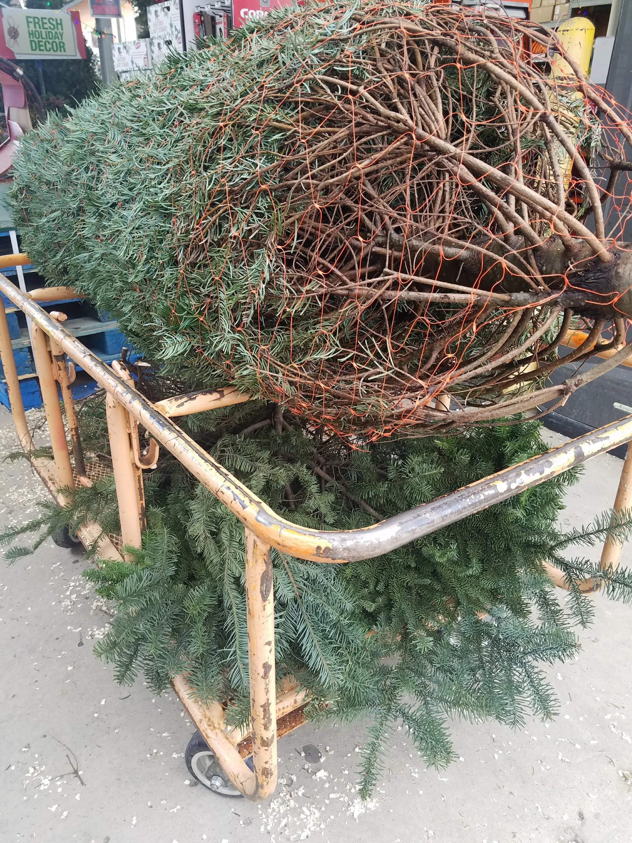 20171124_154457.jpg