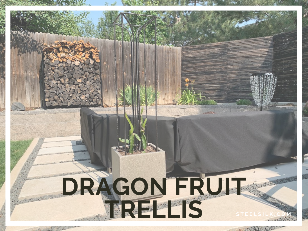 Dragonfruit Trellis: Growing dragon fruit in Zone 5 — steel silk