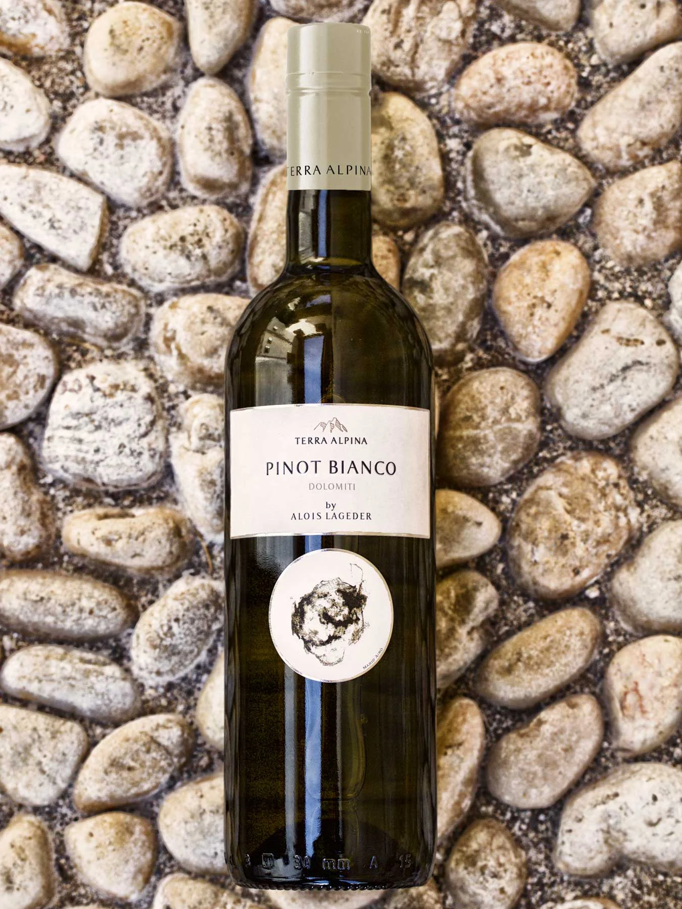 Pinot Bianco.jpg