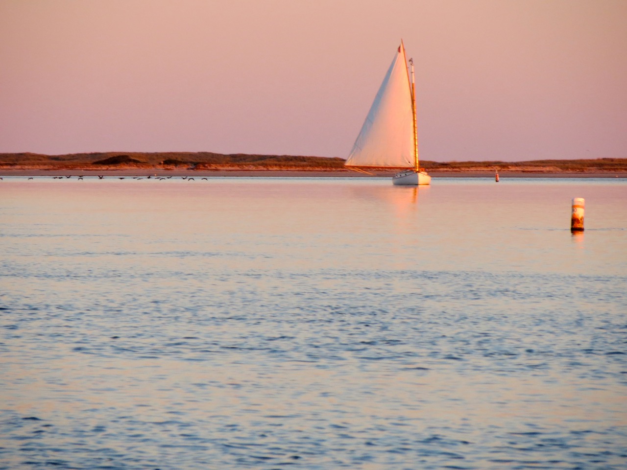 Sunset Sail