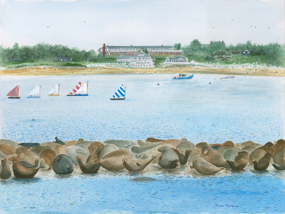 Seals at Chatham Bars Inn
