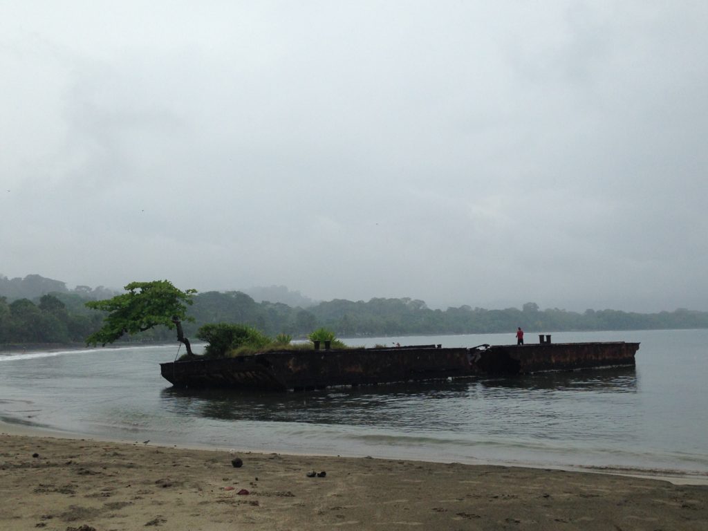 Sunken barge or fishing pier? Or both?