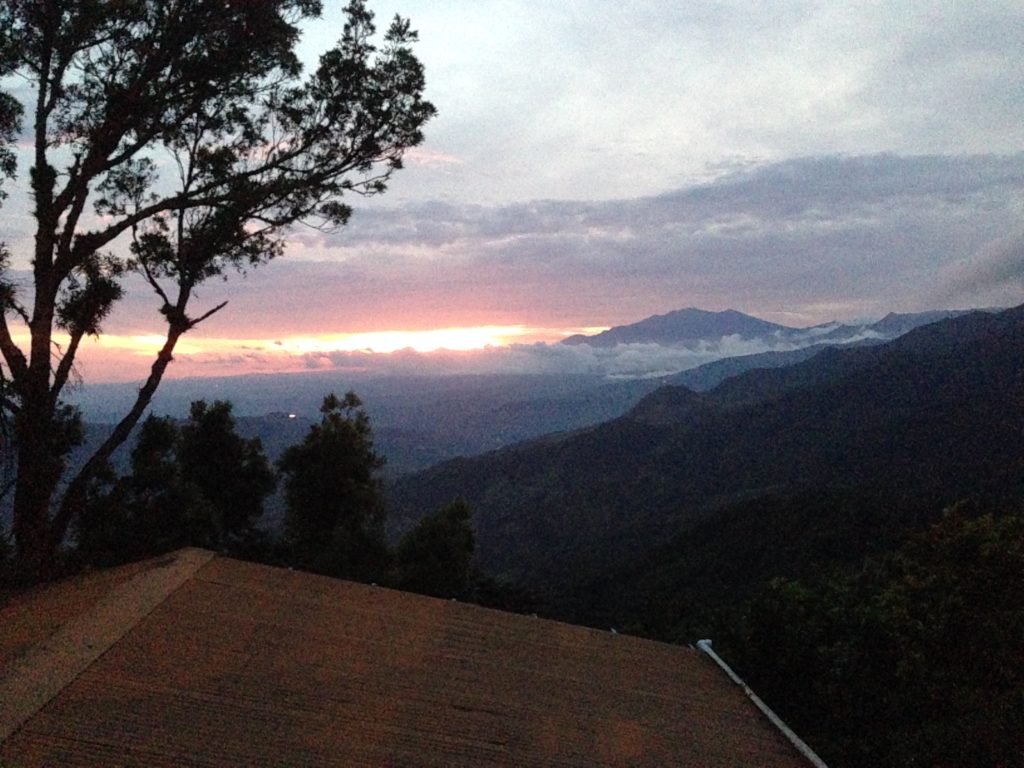 The view was nice too.