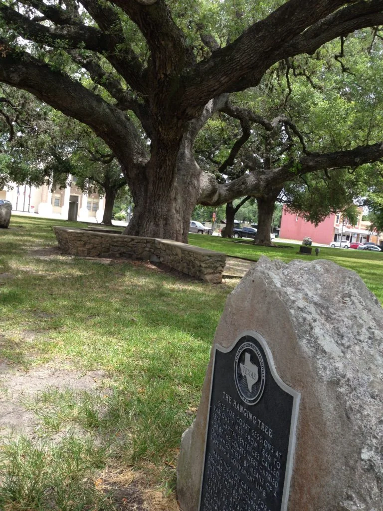 The hanging tree in Goliad, TX, where justice was delivered swiftly.interstate.