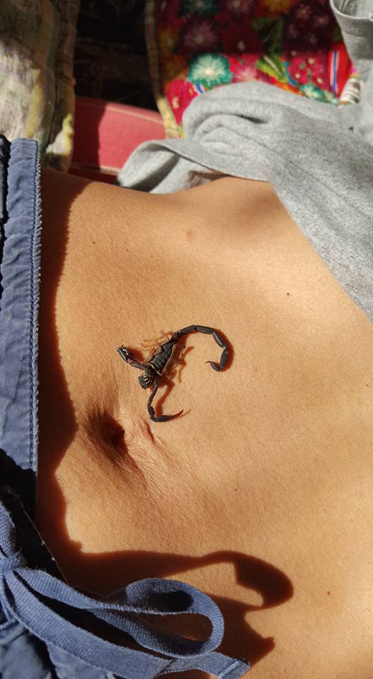 This is a scorpion (a dead one!) on R's belly. It serves as an illustration of all the creepy crawlies that might end up getting friendly with your privates if you are bold enough to sit in the grass in Central America.