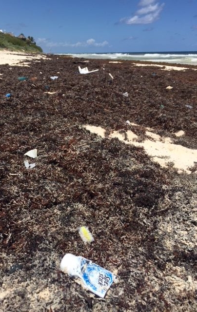 The sky, the sea, and the sargassum. And a lot of trash. This photo was taken on the Sian Ka'an Nature Reserve by an American Indian with a tear falling from his eye.