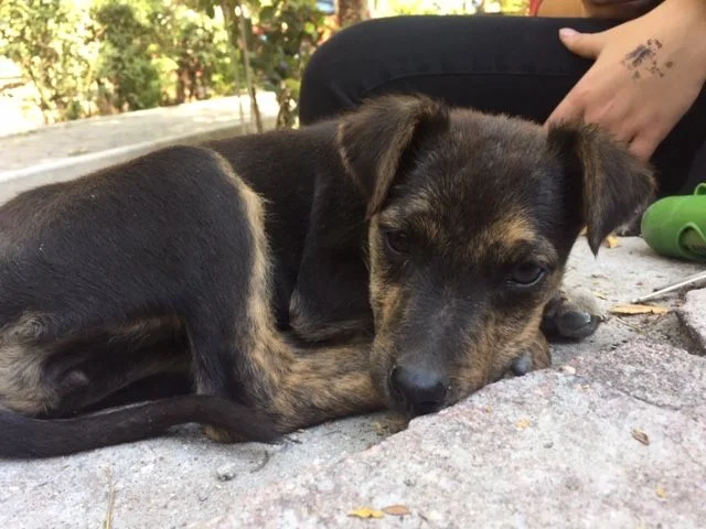 Ready for a nap