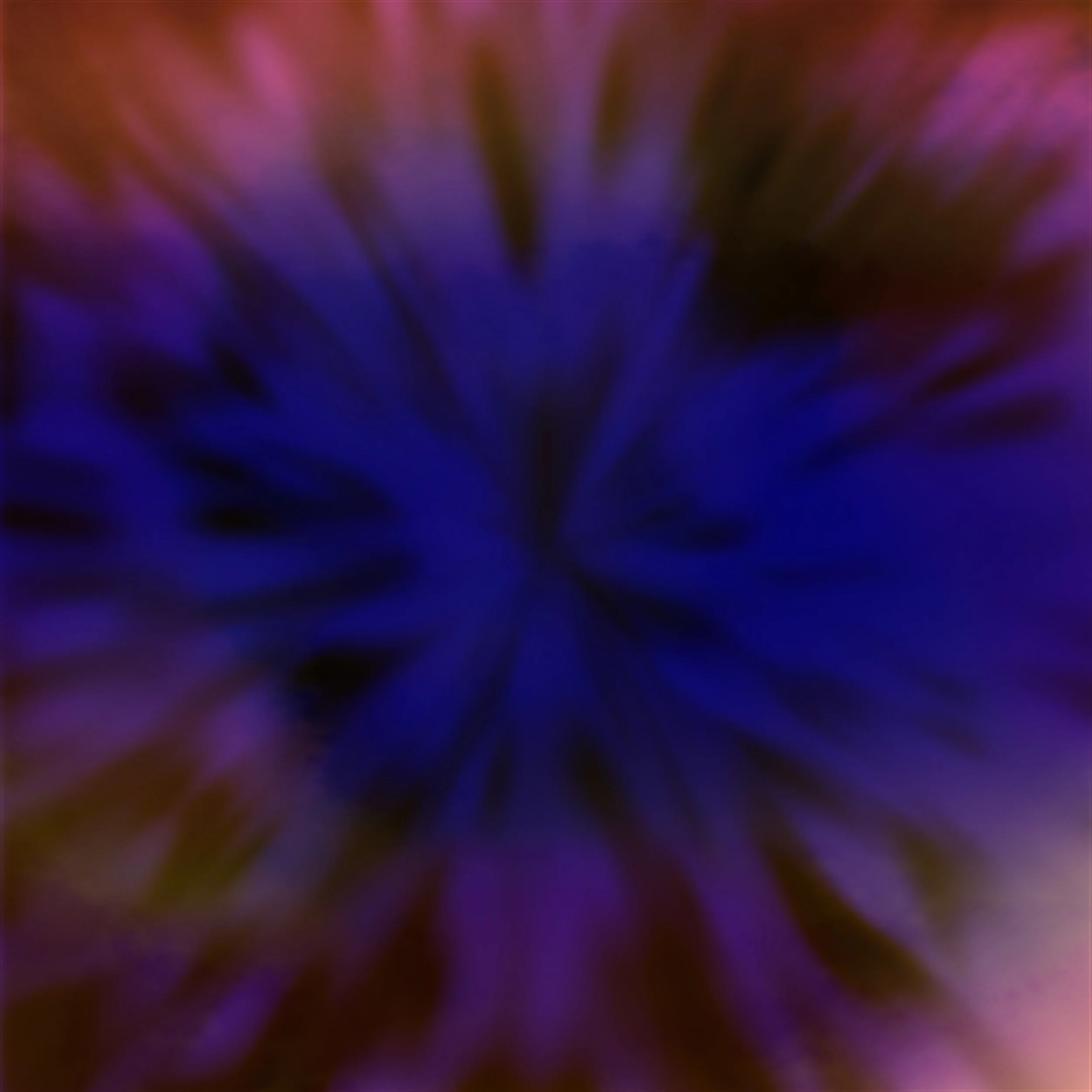 "I AM" the Rays in the Crown of the Coronation!