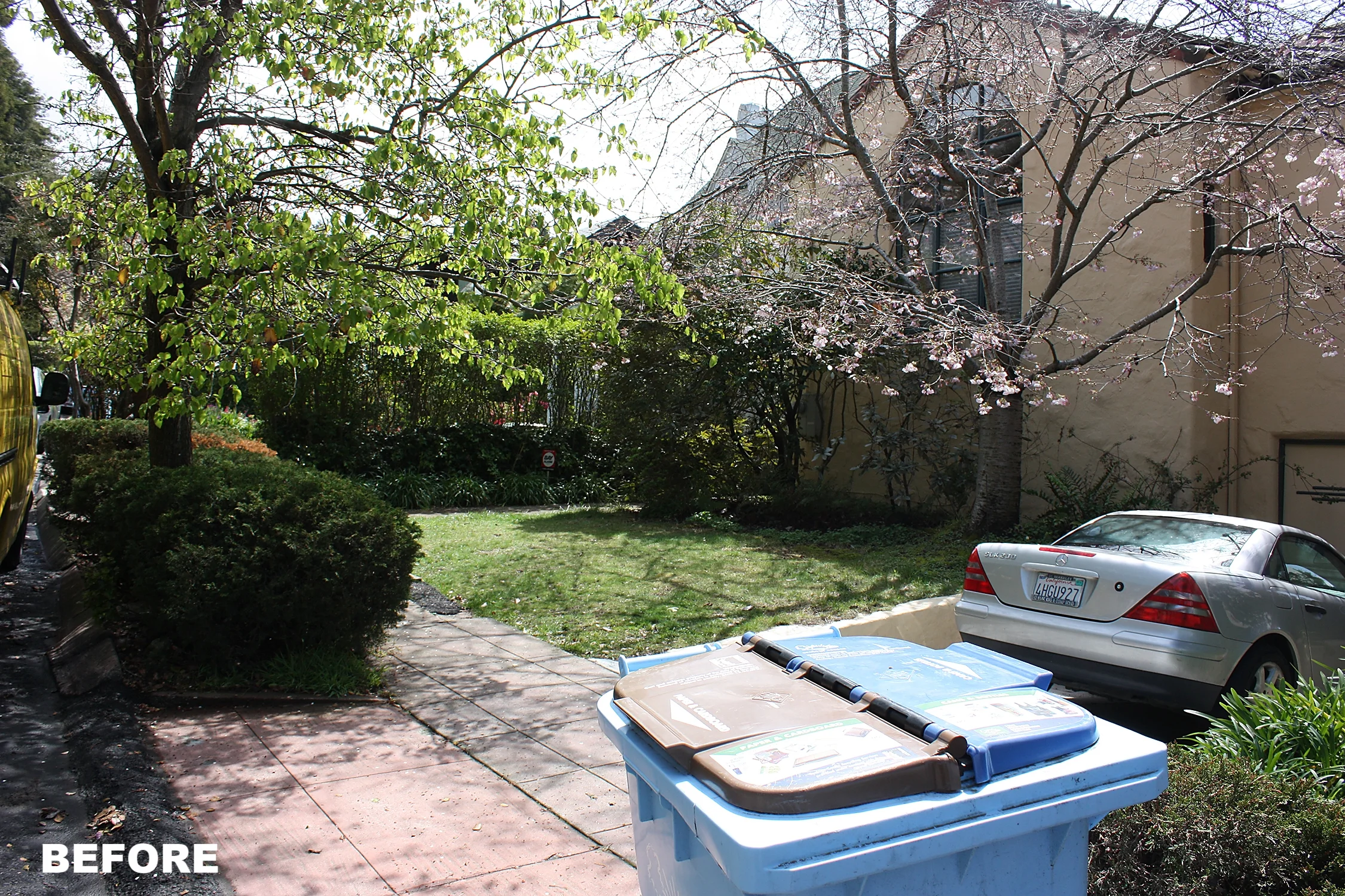 IMG_6748 WEBSITE RABAEY BEFORE.jpg