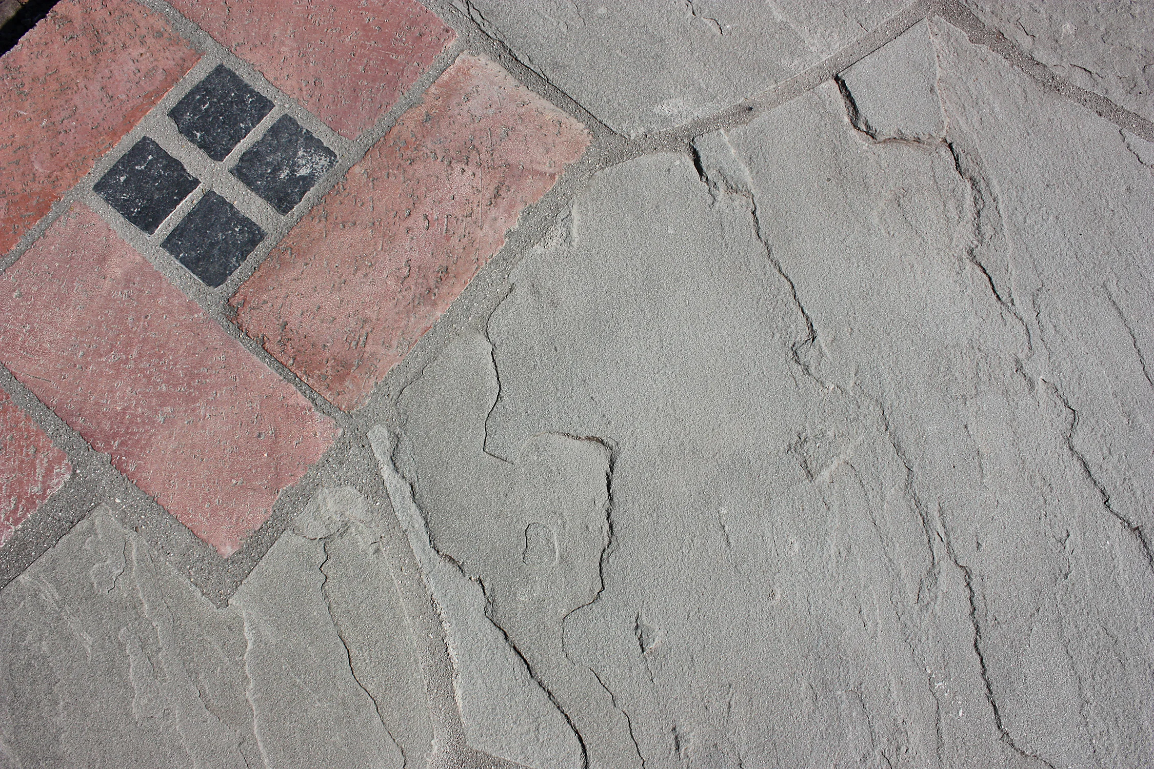 IMG_7625 WEBSITE SNAPSHOTS.jpg