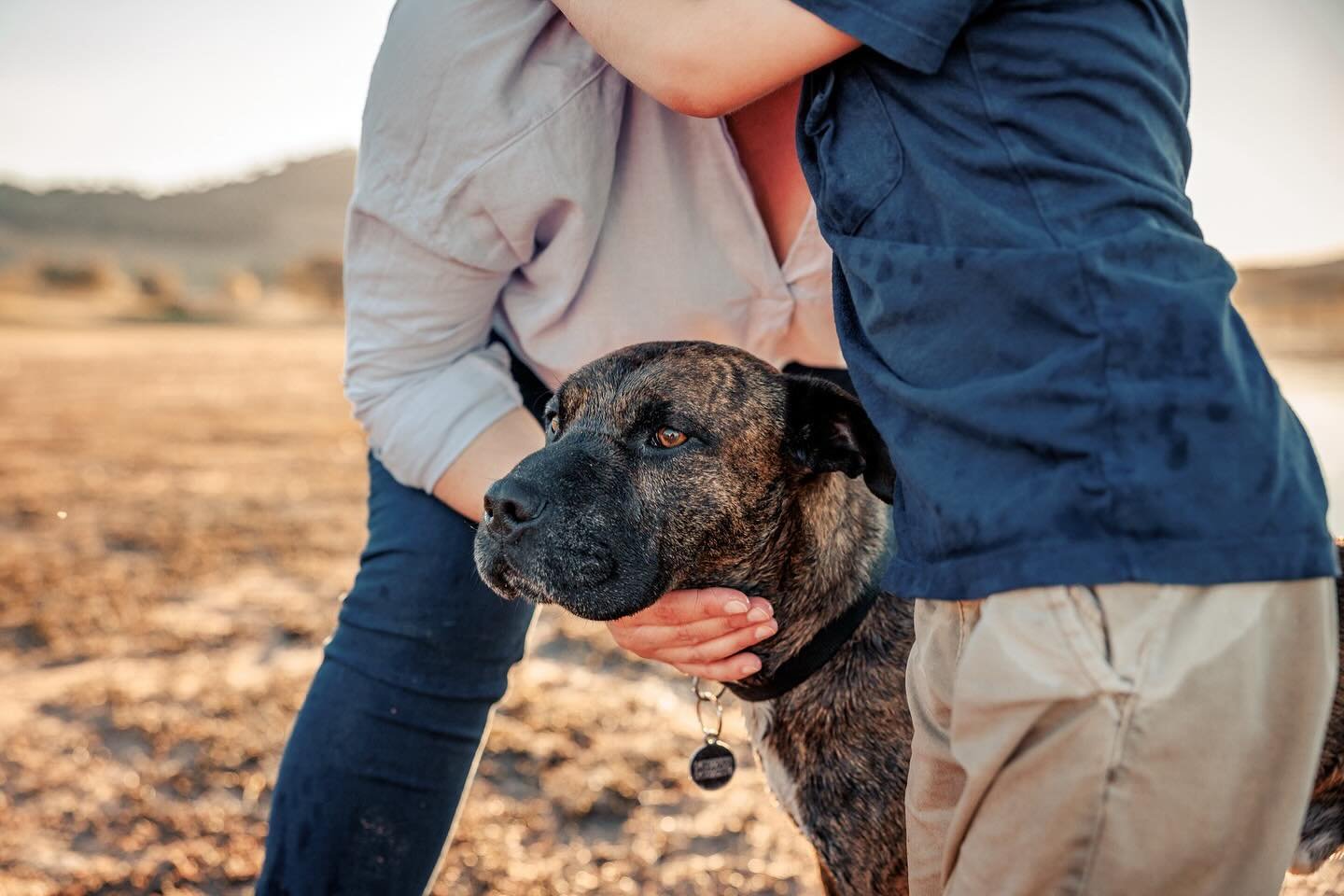 Photos with your pets? Hell yes! They&rsquo;re family too.