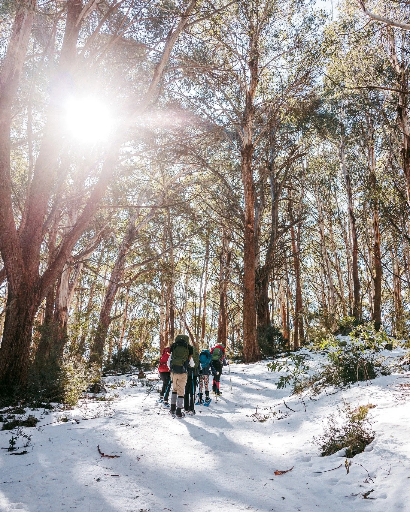 I know the snow&rsquo;s all but melted and today was HOT 🥵
But here&rsquo;s a throwback to July, when my teen and I snowshoed our way up to Mt Stirling for an overnight hike.

And with summer hiking season just around the corner, if you&rsquo;ve bee