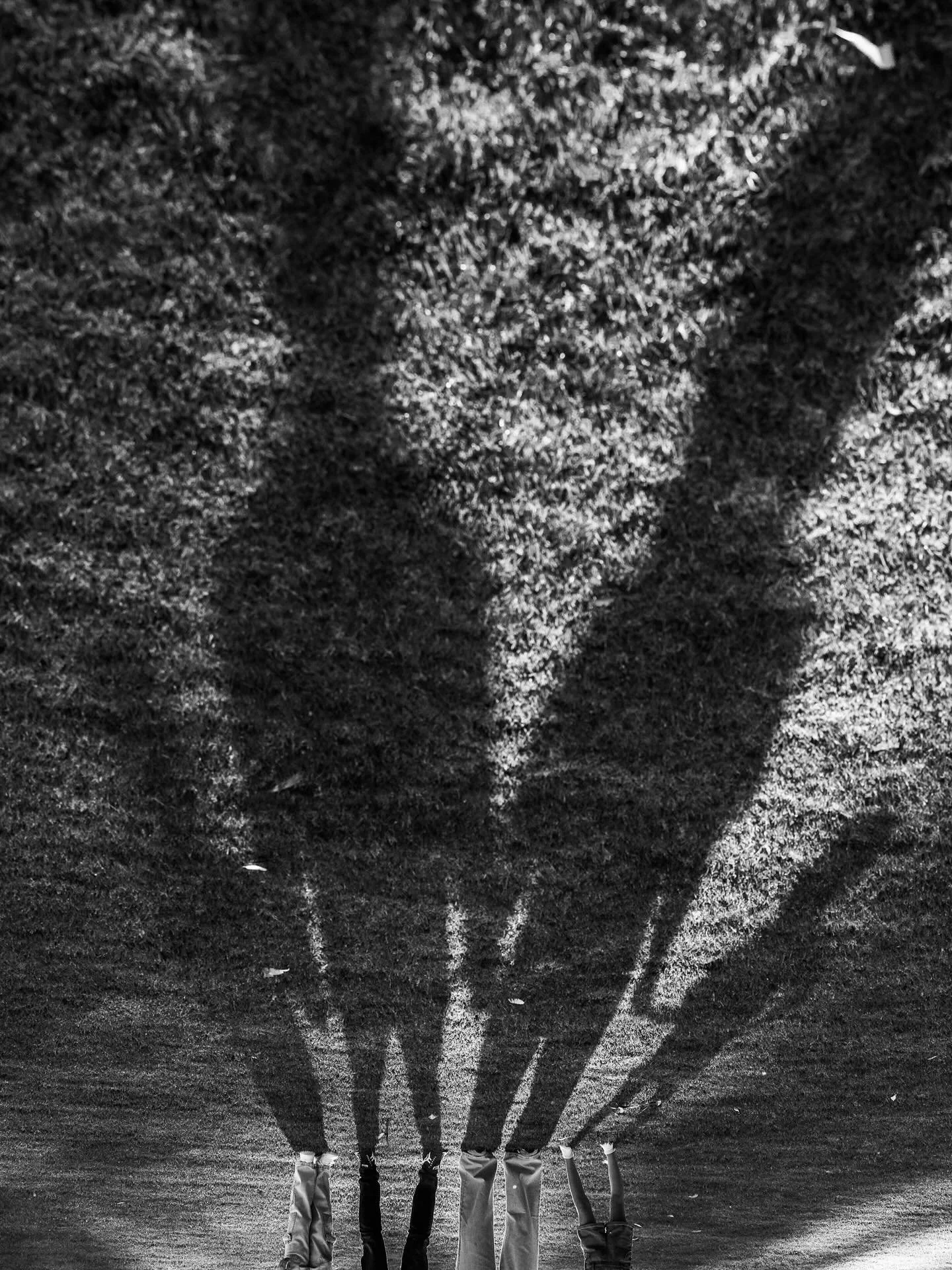 It&rsquo;s a topsy turvey kinda world