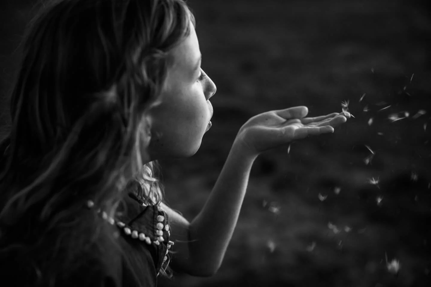 And like a dandelion carried away on the breeze, how is it that December is almost here??!!