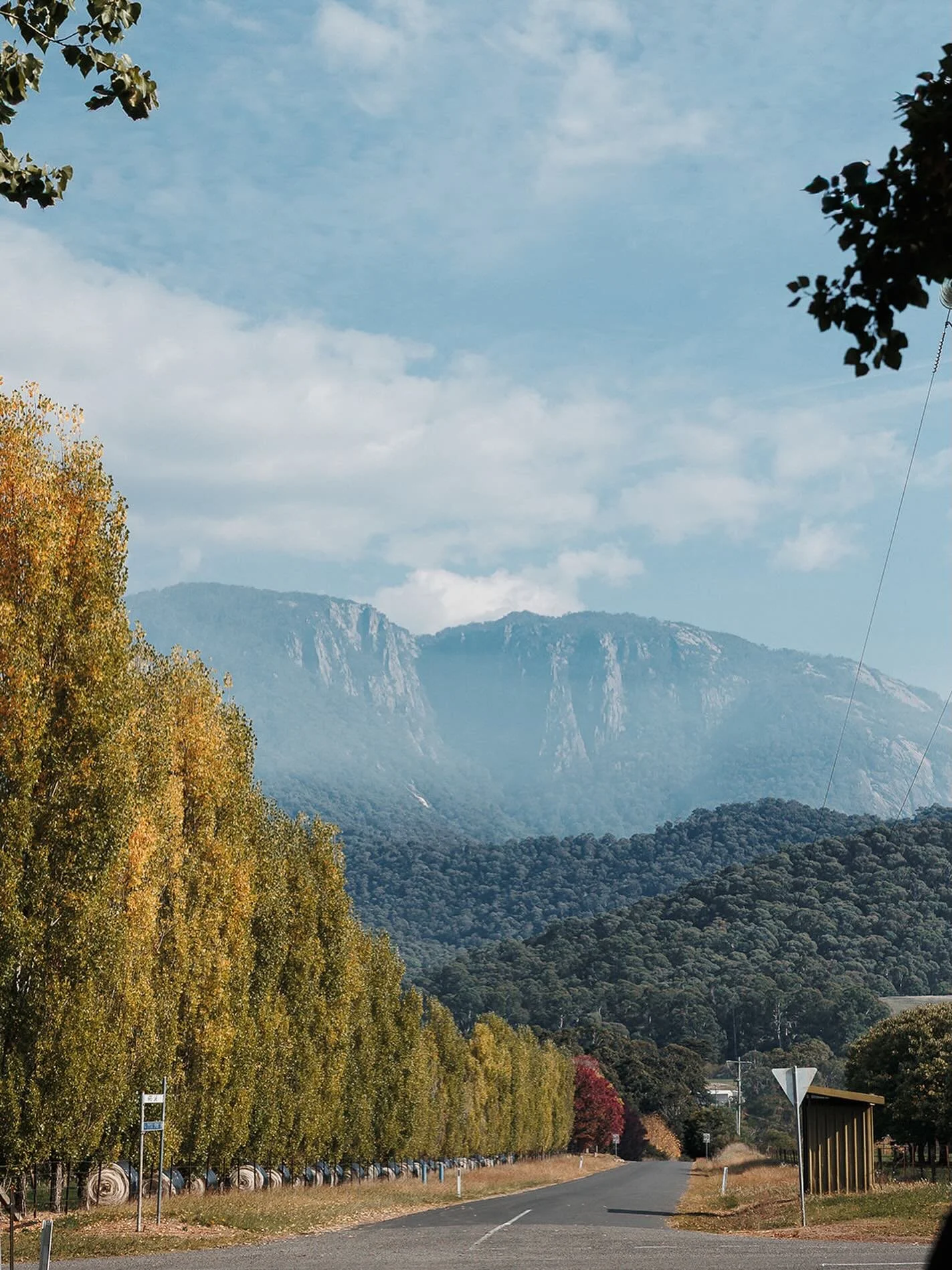 The grand ol&rsquo; dame that is Mt Buffalo!