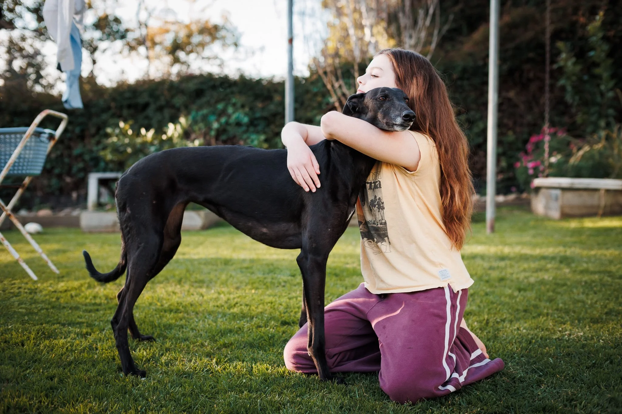 The love from a greyhound is something else.
I mean, 90% of the time they&rsquo;re sleeping, and don&rsquo;t want to have a bar of you, but that other 10%? They love hard.