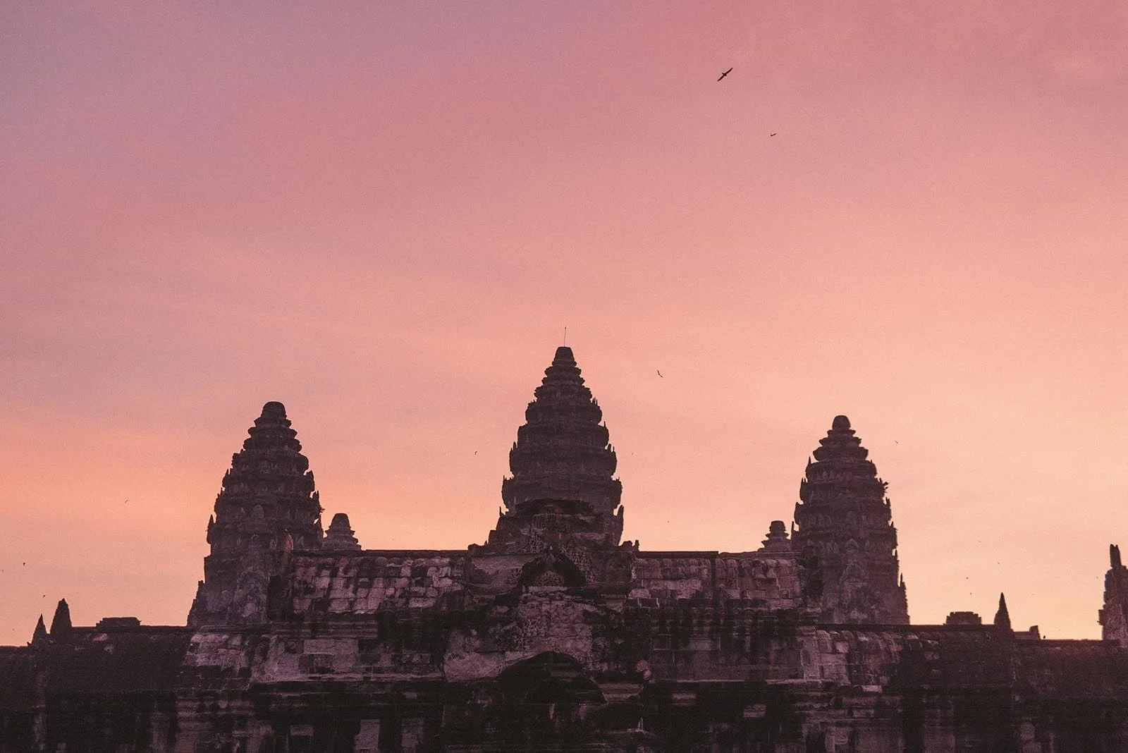 Cambodia -950.jpg