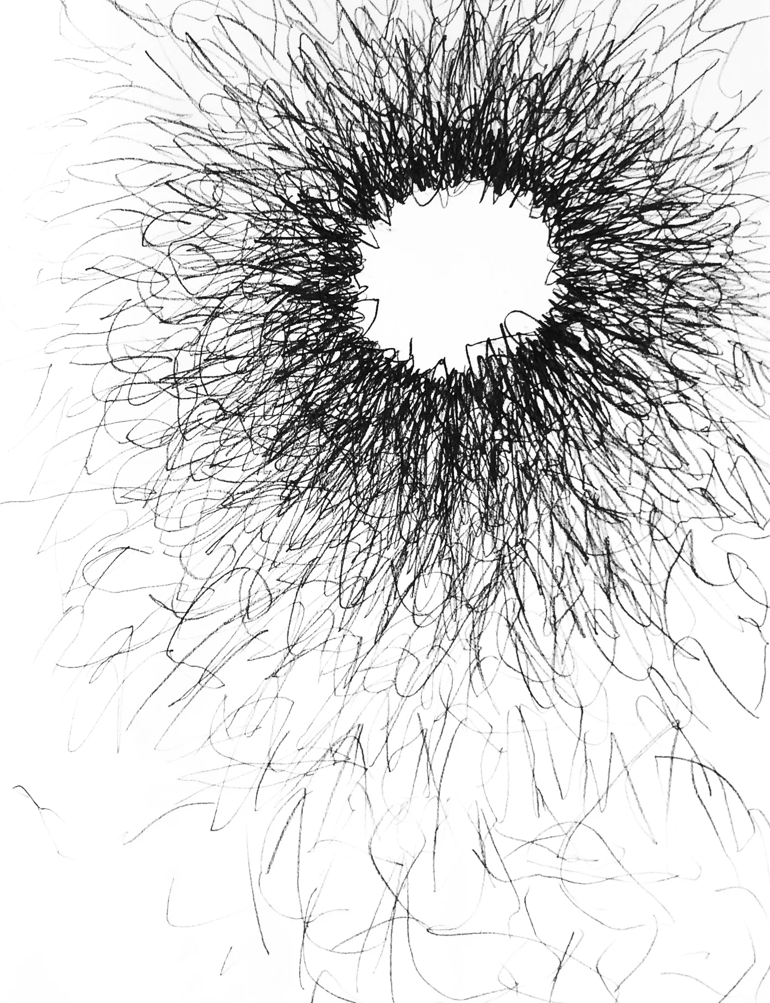 SketchbookD.jpg