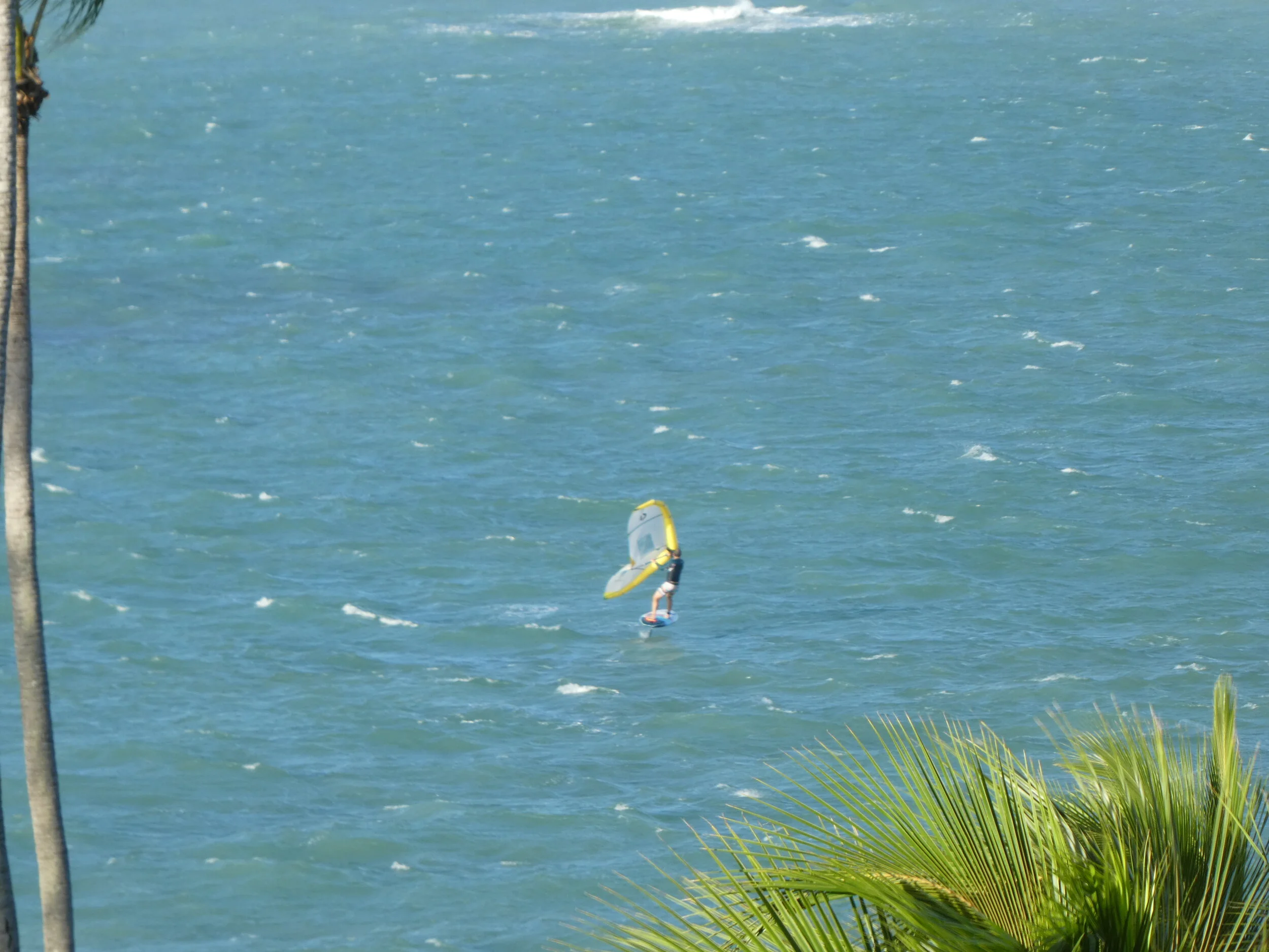 P1050067.JPG