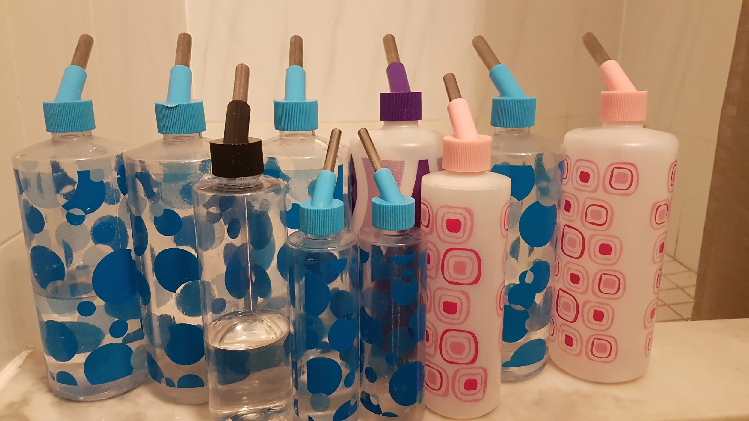 Remember to clean your rats' water bottles! 