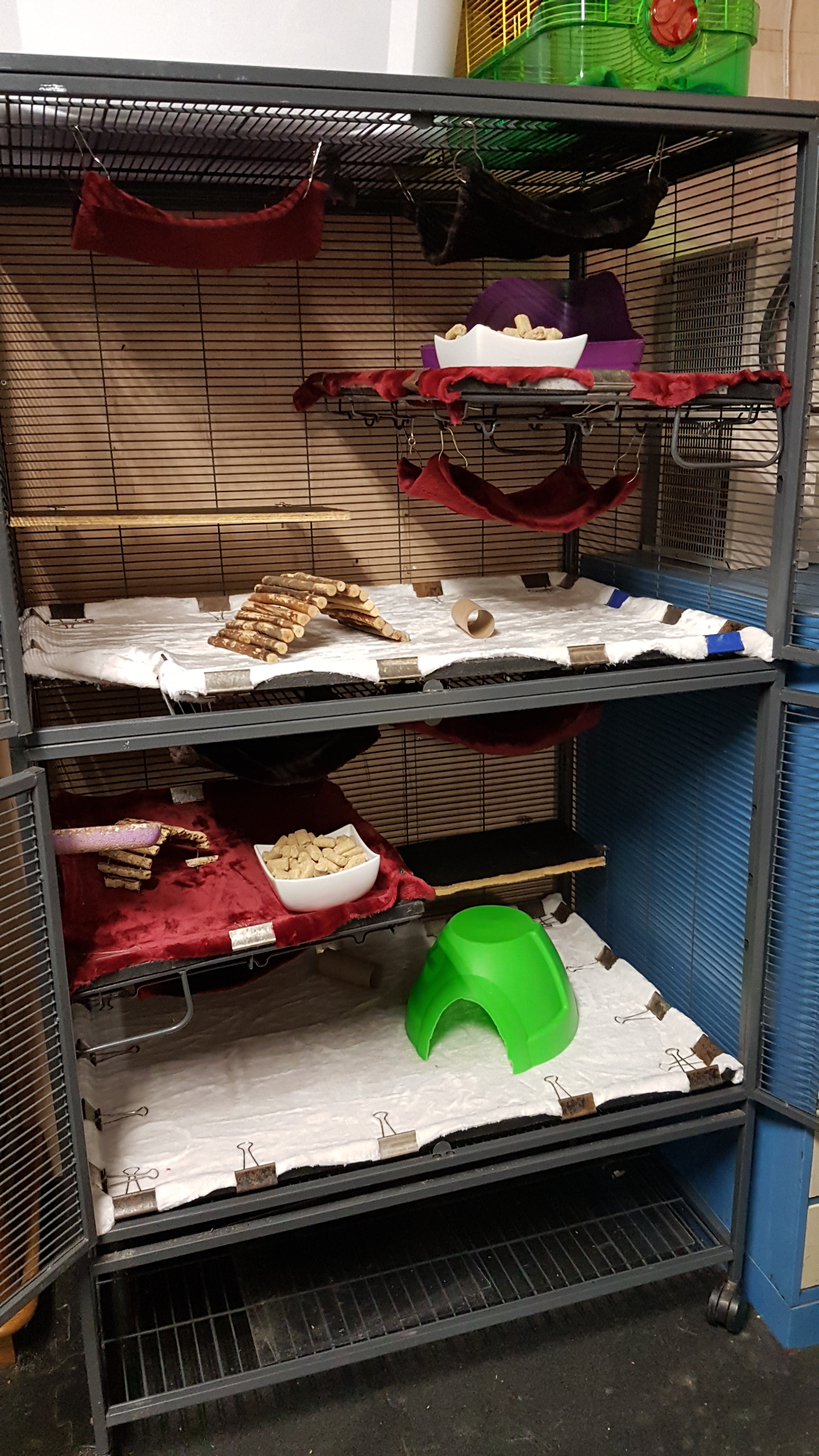 Choosing a Rat Cage — Rat Emporium Toronto