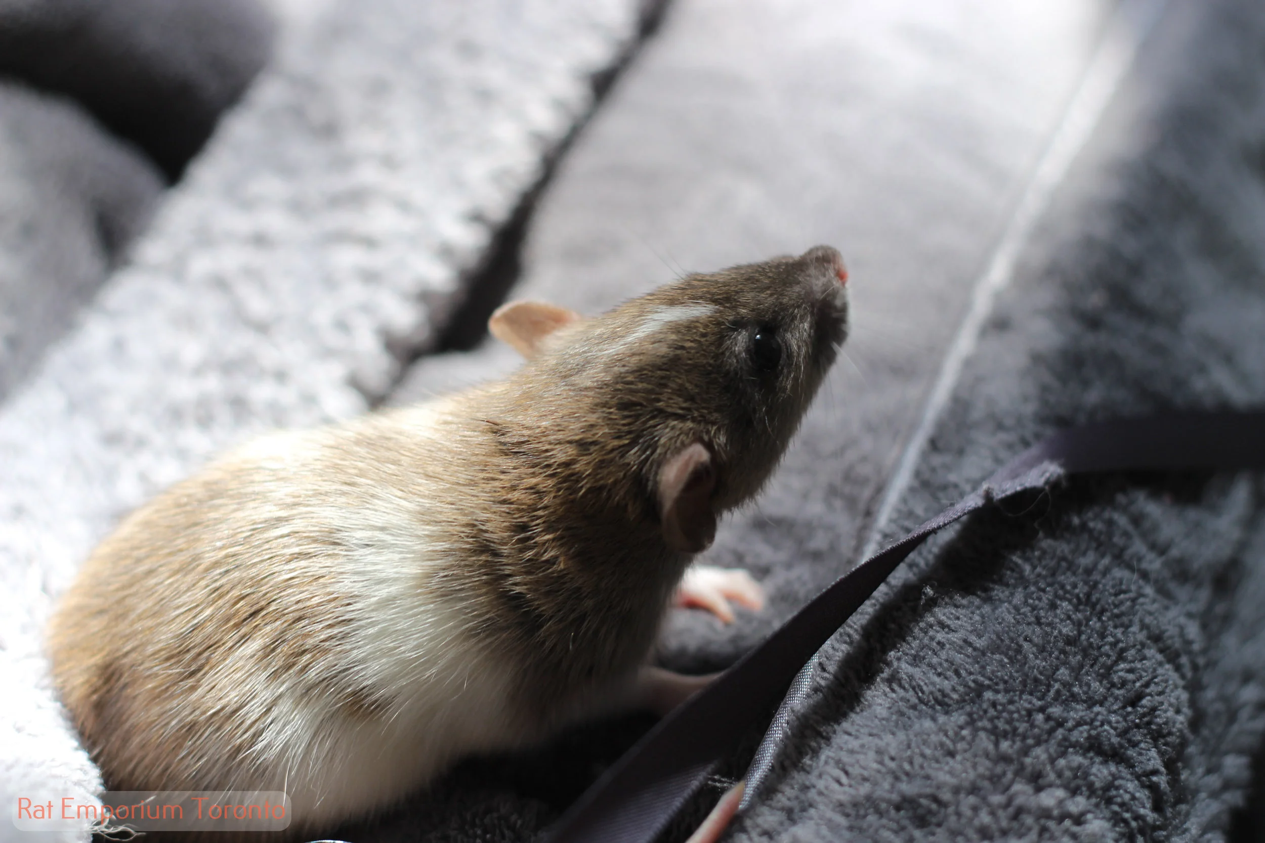 My little girl Xavi <3