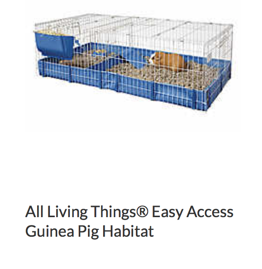 all living things guinea pig home with playpen